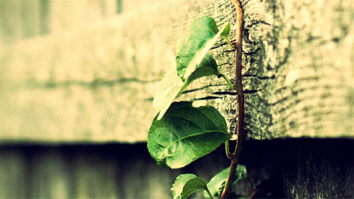 推荐
